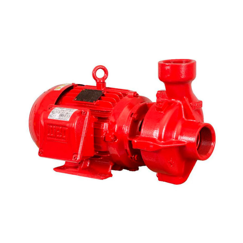 Bomba de incendio.jpg